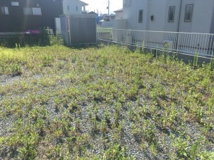エクステリア　雑草対策　カラークリート　芝　カラーコンクリート