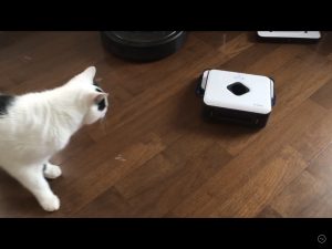 床拭きロボット　ブラーバ　が来た〜！