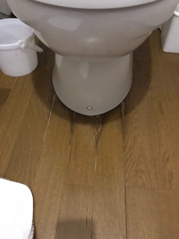 【甲斐市リフォーム】トイレ・洗面台取替工事　BEFORE画像