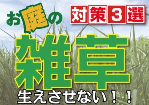[山梨×雑草対策３選]雑草が生える家のまわりをすっきりさせたい…雑草の悩みに知っておきたい対策をご紹介