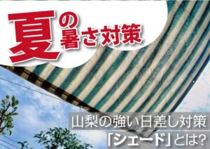 [節電も]夏のお庭も快適に～山梨の強い日差し対策となる「シェード」とは？