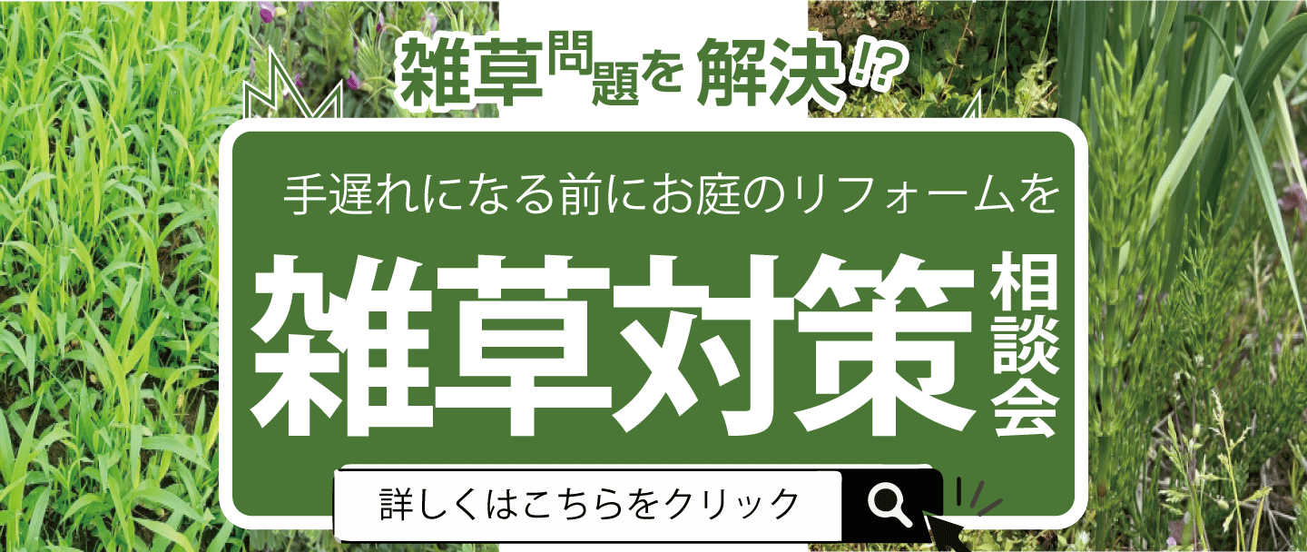 しつこい！雑草対策リフォーム相談してみませんか？