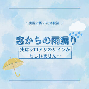 [山梨×雨漏り]窓からの雨漏り、実はシロアリのサインかもしれません…