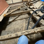 【山梨県×シロアリの被害】